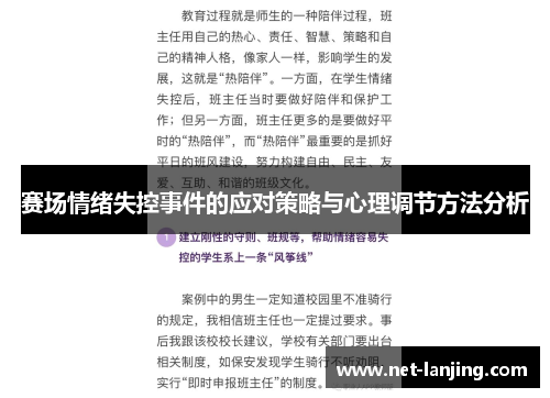 赛场情绪失控事件的应对策略与心理调节方法分析