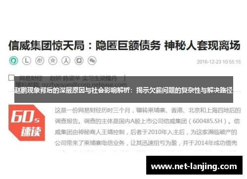 赵鹏现象背后的深层原因与社会影响解析：揭示欠薪问题的复杂性与解决路径